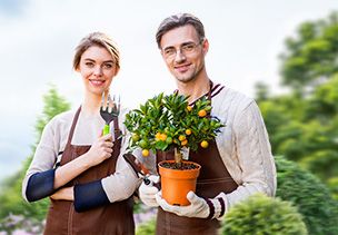 Проект «под ключ» где можно заказать по низкой цене  в Севастополе