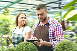 Дендроплан - верное планирование территории и решения этой задачи на уровне  в Севастополе