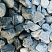 Kamenclub.ru: Щебень галтованный зеленый (змеевик) фр. 50-100 мм.  купить в Севастополе галтовка мраморная зеленый, салатовый мрамор 12 500 руб/т   фото КАМЕНЬ КЛУБ