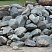 Kamenclub.ru: Гранит скальник (серо-зеленый) фр. 100-500 мм.  купить в Севастополе гранит зеленый, серый, салатовый крупный ландшафтный валун 6 000 руб/т   фото КАМЕНЬ КЛУБ