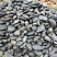 Kamenclub.ru: Темно-серый валунчик фр.100-300 мм.  купить в Севастополе крупный природный камень серый, темно-серый, светло-серый речная галька большого размера окатанная 4500 руб/т   фото КАМЕНЬ КЛУБ