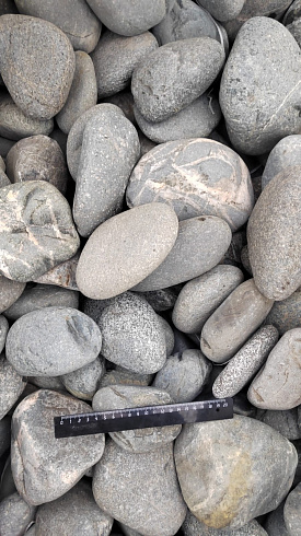 Kamenclub.ru: Галька речная окат (темно-серая) фр. 70-150 мм. купить  в Севастополе галька речная темно-серая, синяя, серая речная галька округлая  8000 руб/т   фото КАМЕНЬ КЛУБ