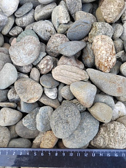 Kamenclub.ru: Галька речная окат (пестрая) фр. 20-40 мм. купить  в Севастополе галька речная пестрая, серая, серые оттенки галька речная окатанная округлая 5000 руб/т   фото КАМЕНЬ КЛУБ
