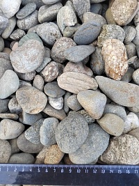 Kamenclub.ru: Галька речная окат (пестрая) фр. 20-40 мм. купить  в Севастополе галька речная пестрая, серая, серые оттенки галька речная окатанная округлая 5000 руб/т   фото КАМЕНЬ КЛУБ