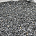 Kamenclub.ru: Щебень крошка черный (мрамор) фр. 10-20 мм.  купить в Севастополе мрамор черный с белыми прожилками, черный, белый каменная ландшафтная декоративная крошка щебня 11000 руб/т   фото КАМЕНЬ КЛУБ