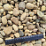 Kamenclub.ru: Галька речная окат рыжая фр. 20-40 мм. купить  в Севастополе галька речная окатанная рыжая желтая серая округлая речная галька 5000 руб/т   фото КАМЕНЬ КЛУБ