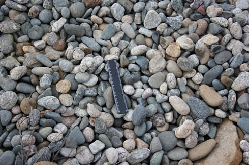 Kamenclub.ru: Галька речная окат (пестрая) фр. 20-40 мм. купить  в Севастополе галька речная пестрая, серая, серые оттенки галька речная окатанная округлая 5000 руб/т   фото КАМЕНЬ КЛУБ