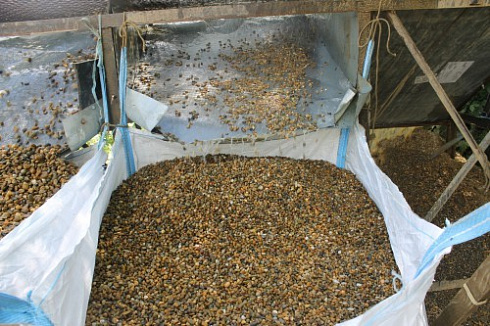 Kamenclub.ru: Галька окат (серо-желтая) фр.10-20 мм. купить  в Севастополе галька серо-желтая, рыжая, серый речная окатанная округлая галька 5000 руб/т   фото КАМЕНЬ КЛУБ