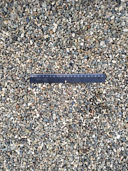 Kamenclub.ru: Галька речная окат (серая) фр.5-10 мм купить  в Севастополе галька речная серая, серый, темно-серый, светло-серый, коричневый речная окатанная галька декоративная ландшатфная 5000 руб/т   фото КАМЕНЬ КЛУБ