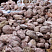 Kamenclub.ru: Розовый валунчик фр.100-300 мм.  купить в Севастополе крупный природный камень розовый, серый молочный красный речной галечник природный 7850 руб/т   фото КАМЕНЬ КЛУБ