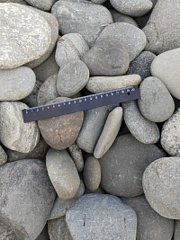 Kamenclub.ru: Галька речная плоская (серо-белая) фр. 70-120 мм. купить в Севастополе галька галечник речной серый, белый окатанная плоская  природная галька 9000 руб/т   фото КАМЕНЬ КЛУБ