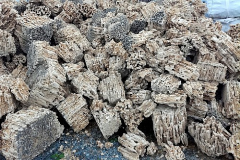 Kamenclub.ru: Крымский природный меотис фр. 100-500 мм.  купить в Севастополе меотис бежевый рыжий молочный желтый ракушечник 4 500 руб/т   фото КАМЕНЬ КЛУБ