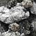 Kamenclub.ru: Черный гранит - кварцит фр. 100-500 мм.  купить в Севастополе мрамор гранит черный с белыми прожилками, серый, белый валун скальный колотый 7000 руб/т   фото КАМЕНЬ КЛУБ
