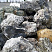Kamenclub.ru: Черный гранит - кварцит фр. 500-1000 мм.  купить в Севастополе гранит кварцит черный серый белый скальный колотый валун 9750 руб/т   фото КАМЕНЬ КЛУБ