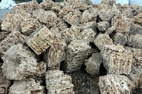 Kamenclub.ru: Крымский природный меотис фр. 100-500 мм.  купить в Севастополе меотис бежевый рыжий молочный желтый ракушечник 4 500 руб/т   фото КАМЕНЬ КЛУБ