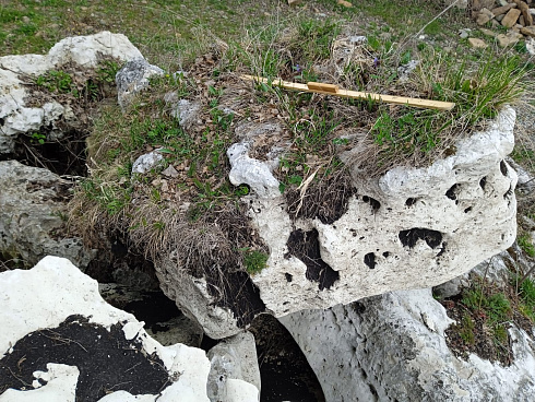 Kamenclub.ru: Выветренный известняк со мхом фр. 100-500 мм.  купить в Севастополе известняк серый белый зеленый валун известняковый крупный 10000 руб/т   фото КАМЕНЬ КЛУБ