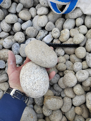 Kamenclub.ru: Галька речная окат (серо-белая) фр. 70-120 мм купить  в Севастополе галька галечник бело-серая, серо-белая, серая, белая речная природная галька  8000 руб/т   фото КАМЕНЬ КЛУБ