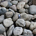 Kamenclub.ru: Темно-серый валунчик фр.100-300 мм.  купить в Севастополе крупный природный камень серый, темно-серый, светло-серый речная галька большого размера окатанная 4500 руб/т   фото КАМЕНЬ КЛУБ