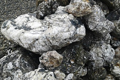 Kamenclub.ru: Черный гранит - кварцит фр. 500-1000 мм.  купить в Севастополе гранит кварцит черный серый белый скальный колотый валун 9750 руб/т   фото КАМЕНЬ КЛУБ