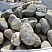 Kamenclub.ru: Речной валун (Ассорти) фр.100-300 мм.  купить в Севастополе галечник серый, темно-серый, светло-серый речная галька крупных размеров 4200 руб/т   фото КАМЕНЬ КЛУБ