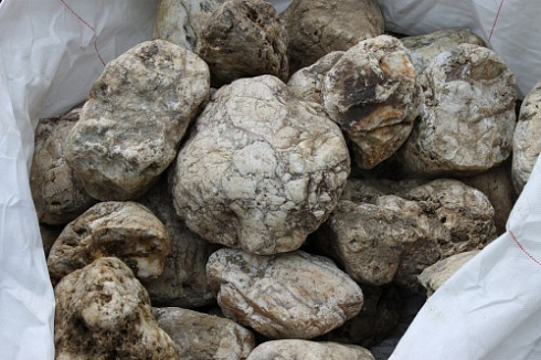 Kamenclub.ru: Кварцевый валунчик фр.100-300 мм.  купить в Севастополе кварц белый, бежевый молочный рыжий крупный природный камень галечник 7850 руб/т   фото КАМЕНЬ КЛУБ