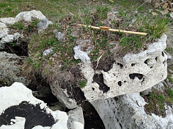 Kamenclub.ru: Выветренный известняк (степной) фр. 500-1500 мм.  купить в Севастополе    10000 руб/т   фото КАМЕНЬ КЛУБ