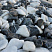 Kamenclub.ru: Мраморная крошка (щебень галтованный микс:: белый-черный) фр.20-40 мм  купить в Севастополе мрамор белый, черный мраморный галтованный щебень 15500 руб/т   фото КАМЕНЬ КЛУБ