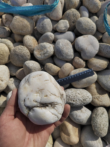 Kamenclub.ru: Галька речная окат (серо-белая) фр. 70-120 мм купить  в Севастополе галька галечник бело-серая, серо-белая, серая, белая речная природная галька  8000 руб/т   фото КАМЕНЬ КЛУБ