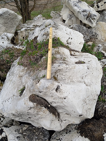 Kamenclub.ru: Выветренный известняк со мхом фр. 100-500 мм.  купить в Севастополе известняк серый белый зеленый валун известняковый крупный 10000 руб/т   фото КАМЕНЬ КЛУБ