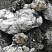 Kamenclub.ru: Черный гранит - кварцит фр. 100-500 мм.  купить в Севастополе мрамор гранит черный с белыми прожилками, серый, белый валун скальный колотый 7000 руб/т   фото КАМЕНЬ КЛУБ