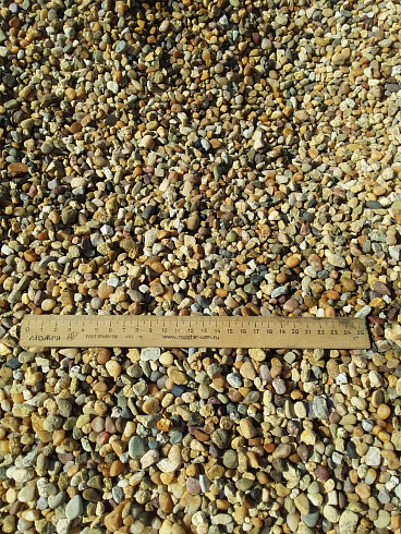 Kamenclub.ru: Галька окат (серо-желтая) фр.5-10 мм. купить  в Севастополе галька речная рыжий, желтый, рыжий, серо-желтый речная окатанная галька декоративная 5000 руб/т   фото КАМЕНЬ КЛУБ