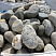 Kamenclub.ru: Речной валун (Ассорти) фр.100-300 мм.  купить в Севастополе галечник серый, темно-серый, светло-серый речная галька крупных размеров 4200 руб/т   фото КАМЕНЬ КЛУБ