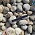 Kamenclub.ru: Галька речная окат (серо-белая) фр. 70-120 мм купить  в Севастополе галька галечник бело-серая, серо-белая, серая, белая речная природная галька  8000 руб/т   фото КАМЕНЬ КЛУБ