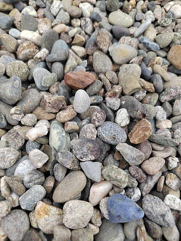Kamenclub.ru: Галька речная окат (серая) фр.10-20 мм купить  в Севастополе галька речная серая, серый, темно-серый, светло-серый, коричневый ландшафтная декоративная речная окатанная округлая галька 5000 руб/т   фото КАМЕНЬ КЛУБ