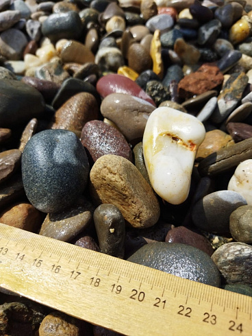 фото Галька Крымский берег МИКС фр. 20-40 мм. в интернет-портале КАМЕНЬ КЛУБ