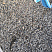 Kamenclub.ru: Галька речная окат (серая) фр.3-5 мм купить  в Севастополе галька речная серая бежевый темно-серый окатанный речной камень округлый 9500 руб/т   фото КАМЕНЬ КЛУБ