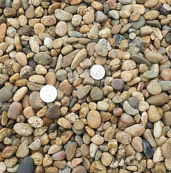 Kamenclub.ru: Галька окат (серо-желтая) фр.10-20 мм. купить  в Севастополе галька серо-желтая, рыжая, серый речная окатанная округлая галька 5000 руб/т   фото КАМЕНЬ КЛУБ