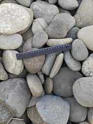 Kamenclub.ru: Галька речная плоская (ассорти) фр. 70-150 мм. купить в Севастополе галька галечник серый белый темно-серый синий светло-серый плоская природная галька  9000 руб/т   фото КАМЕНЬ КЛУБ