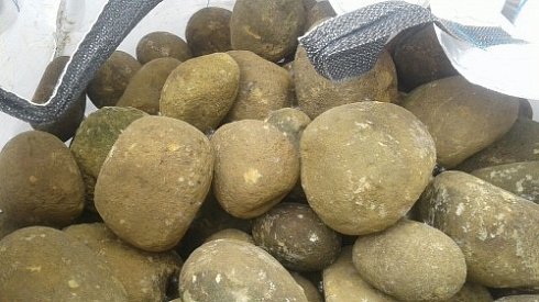 Kamenclub.ru: Песчаник ядра, фр. 100-300 мм  купить в Севастополе песчаник бежевый серый рыжий речная галька 5 000 руб/т   фото КАМЕНЬ КЛУБ