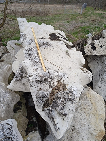 Kamenclub.ru: Выветренный известняк со мхом фр. 100-500 мм.  купить в Севастополе известняк серый белый зеленый валун известняковый крупный 10000 руб/т   фото КАМЕНЬ КЛУБ