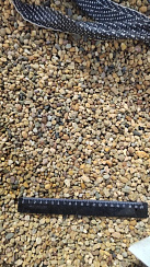 Kamenclub.ru: Галька окат (серо-желтая) фр.5-10 мм. купить  в Севастополе галька речная рыжий, желтый, рыжий, серо-желтый речная окатанная галька декоративная 5000 руб/т   фото КАМЕНЬ КЛУБ