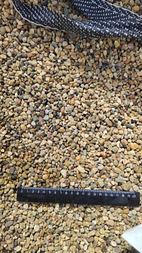 Kamenclub.ru: Галька окат (серо-желтая) фр.5-10 мм. купить  в Севастополе галька речная рыжий, желтый, рыжий, серо-желтый речная окатанная галька декоративная 5000 руб/т   фото КАМЕНЬ КЛУБ