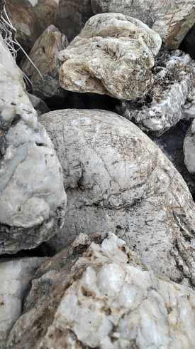 Kamenclub.ru: Кварцевый валунчик фр.100-300 мм.  купить в Севастополе кварц белый, бежевый молочный рыжий крупный природный камень галечник 7850 руб/т   фото КАМЕНЬ КЛУБ