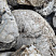 Kamenclub.ru: Кварцевый валунчик фр.100-300 мм.  купить в Севастополе кварц белый, бежевый молочный рыжий крупный природный камень галечник 7850 руб/т   фото КАМЕНЬ КЛУБ