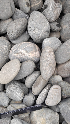Kamenclub.ru: Галька речная окат (темно-серая) фр. 70-150 мм. купить  в Севастополе галька речная темно-серая, синяя, серая речная галька округлая  8000 руб/т   фото КАМЕНЬ КЛУБ