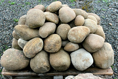 Kamenclub.ru: Песчаник ядра, фр. 100-300 мм  купить в Севастополе песчаник бежевый серый рыжий речная галька 5 000 руб/т   фото КАМЕНЬ КЛУБ