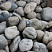 Kamenclub.ru: Речной валун (Ассорти) фр.100-300 мм.  купить в Севастополе галечник серый, темно-серый, светло-серый речная галька крупных размеров 4200 руб/т   фото КАМЕНЬ КЛУБ