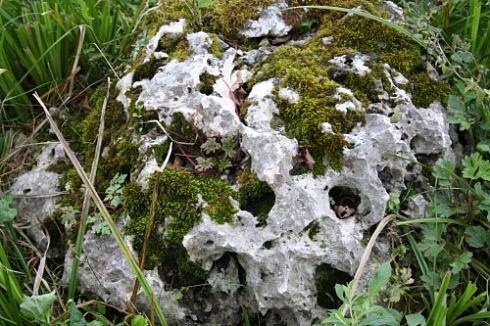 Kamenclub.ru: Выветренный известняк со мхом фр. 100-500 мм.  купить в Севастополе известняк серый белый зеленый валун известняковый крупный 10000 руб/т   фото КАМЕНЬ КЛУБ