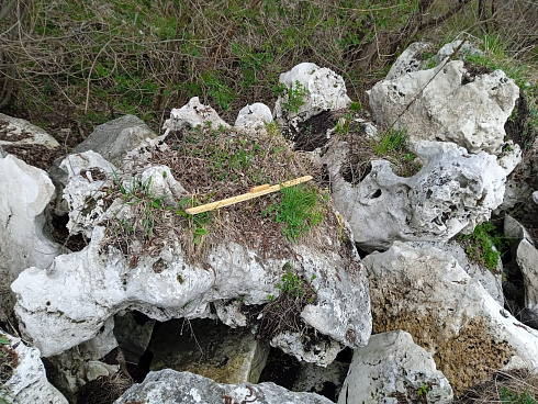 Kamenclub.ru: Выветренный известняк (степной) фр. 500-1500 мм.  купить в Севастополе    10000 руб/т   фото КАМЕНЬ КЛУБ