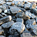 Kamenclub.ru: Щебень галтованный черный (мрамор) фр.20-40 мм.  купить в Севастополе мрамор черный с белыми прожилками мрамор окатанный округлый 15000 руб/т   фото КАМЕНЬ КЛУБ